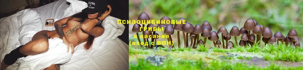 дживик Белоозёрский