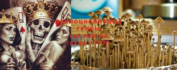 ПСИЛОЦИБИНОВЫЕ ГРИБЫ Беломорск