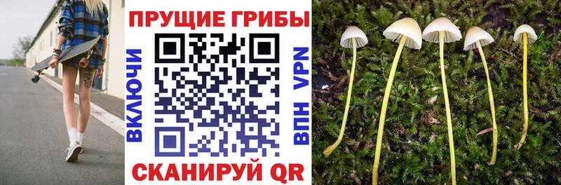 Псилоцибиновые грибы ЛСД  Железноводск 